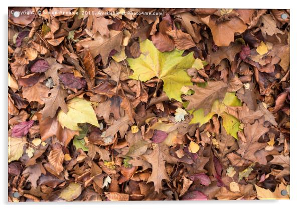 Autumn Leaf Acrylic by Simon Annable