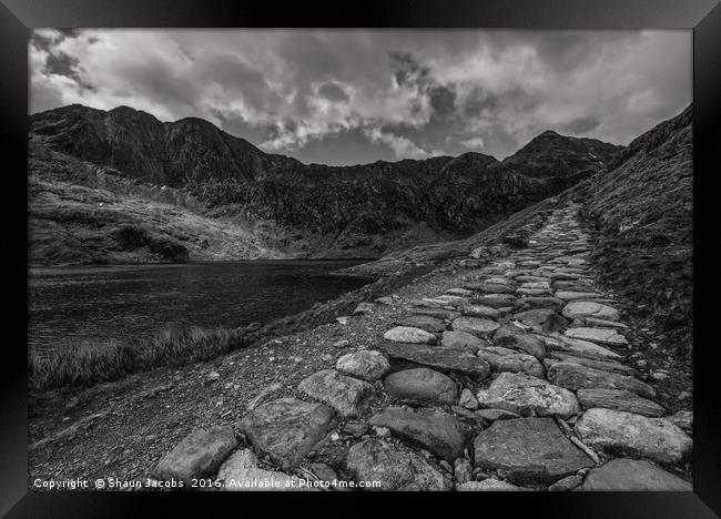 Snowdonia pathway  Framed Print by Shaun Jacobs