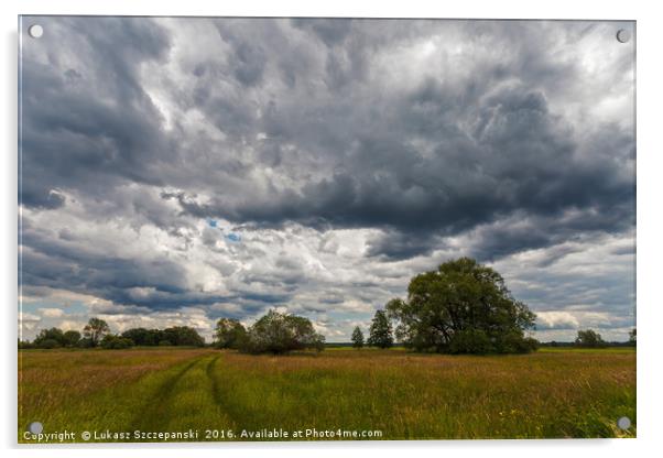 Stormy cloudscape over meadow Acrylic by Łukasz Szczepański