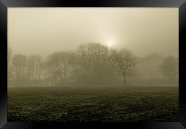A Foggy Morning Framed Print by Sean Wareing