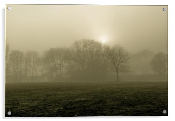 A Foggy Morning Acrylic by Sean Wareing