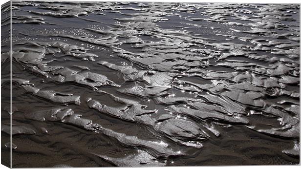 SPARKLES IN THE SAND Canvas Print by Mal Taylor Photography