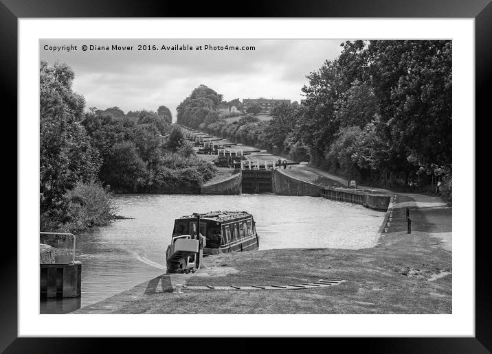 Caen Hill Locks Devizes Framed Mounted Print by Diana Mower