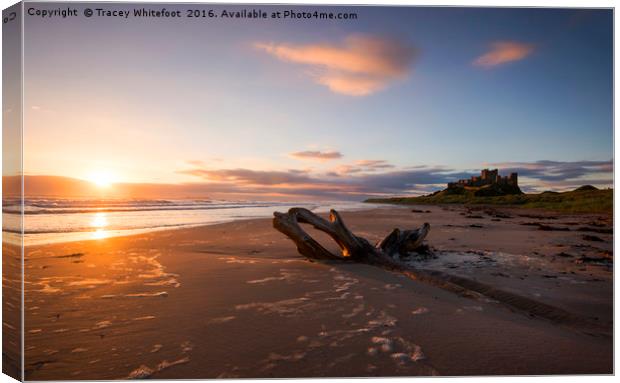 Bamburgh Sunrise  Canvas Print by Tracey Whitefoot