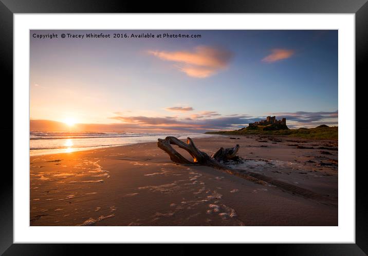 Bamburgh Sunrise  Framed Mounted Print by Tracey Whitefoot