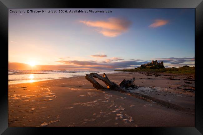 Bamburgh Sunrise  Framed Print by Tracey Whitefoot