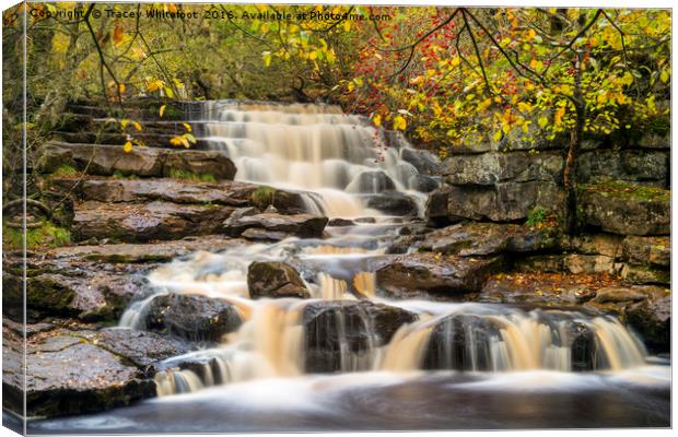 Catrake Force Canvas Print by Tracey Whitefoot