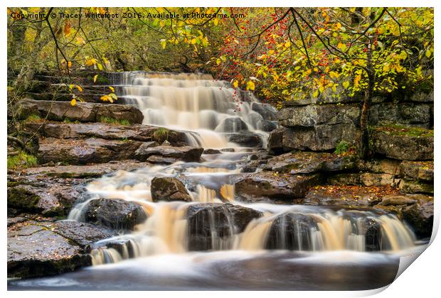 Catrake Force Print by Tracey Whitefoot