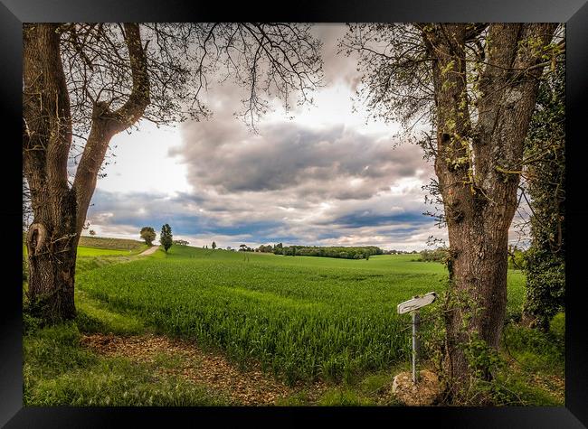 Fairy Land Framed Print by Marcel de Groot