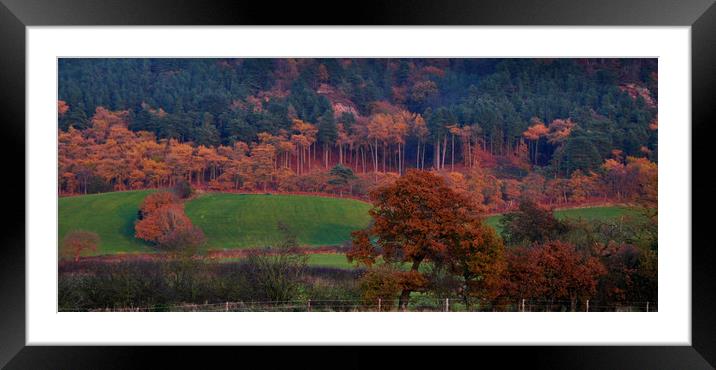  view of the landscape Framed Mounted Print by sue davies