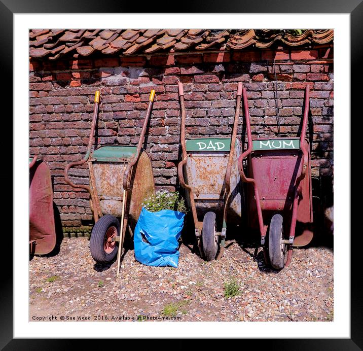 Wheelbarrow for DAD and MUM Framed Mounted Print by Sue Wood