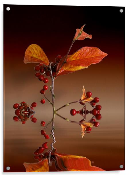 Autumn leafs and red berries Acrylic by David French