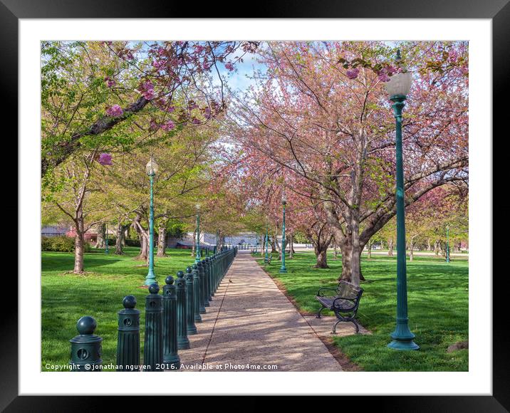 Bloom In The Park Framed Mounted Print by jonathan nguyen