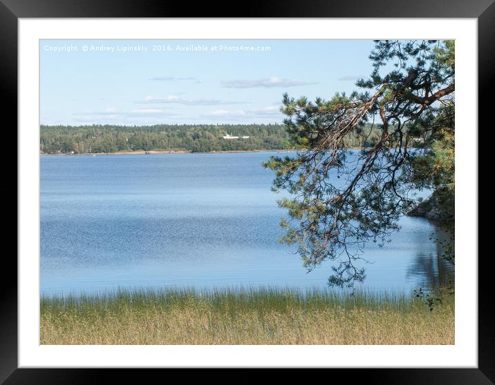 Summer view of the river. Nature background river  Framed Mounted Print by Andrey Lipinskiy