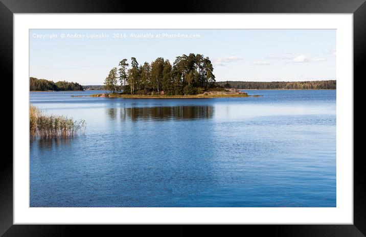 The river and the island on the horizon Framed Mounted Print by Andrey Lipinskiy