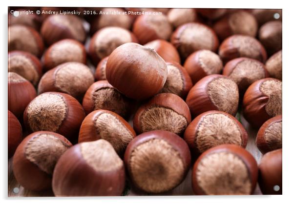 Unshelled hazelnuts. Acrylic by Andrey Lipinskiy