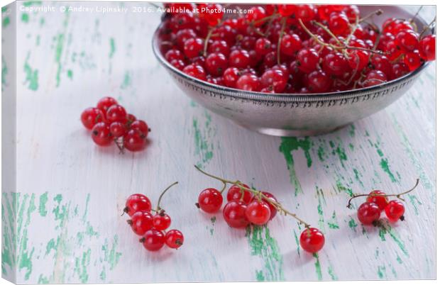 Ripe red currants in a metal plate Canvas Print by Andrey Lipinskiy