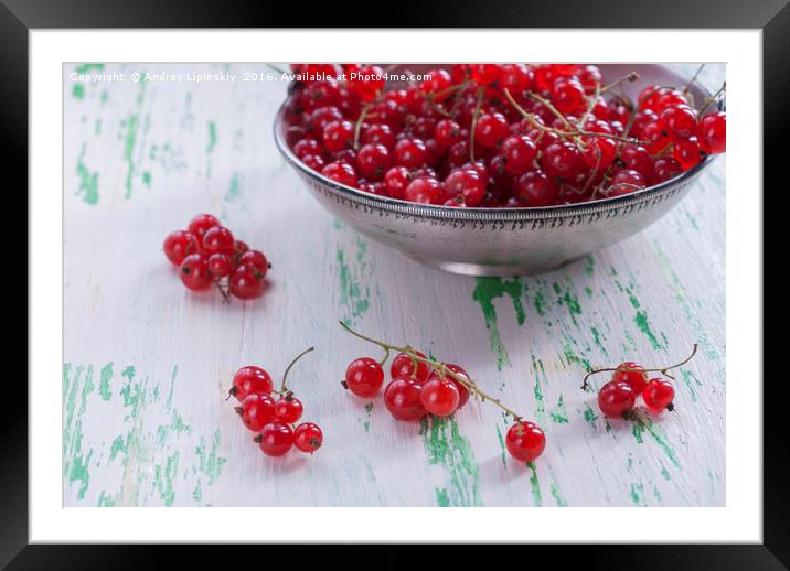 Ripe red currants in a metal plate Framed Mounted Print by Andrey Lipinskiy