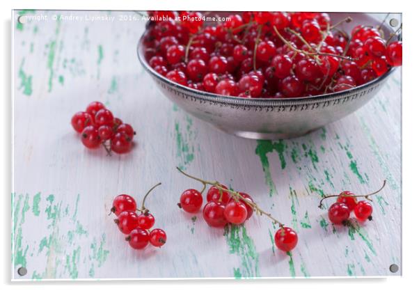 Ripe red currants in a metal plate Acrylic by Andrey Lipinskiy
