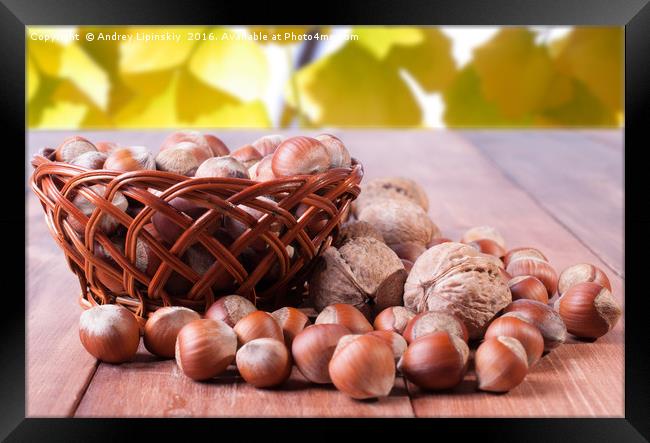 A basket of hazelnuts on blurred background of red Framed Print by Andrey Lipinskiy
