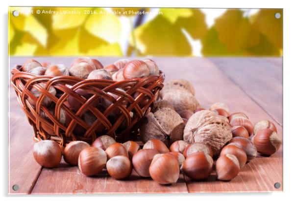 A basket of hazelnuts on blurred background of red Acrylic by Andrey Lipinskiy