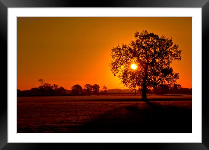 Norfolk Sunrise Framed Mounted Print by Darren Burroughs