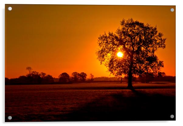 Norfolk Sunrise Acrylic by Darren Burroughs