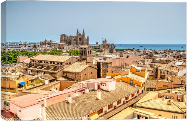 Palma Roof Tops Canvas Print by Perry Johnson