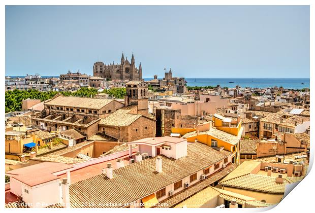 Palma Roof Tops Print by Perry Johnson