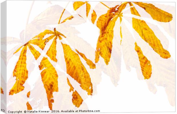 Autumn Leaves Abstract 2 Canvas Print by Natalie Kinnear