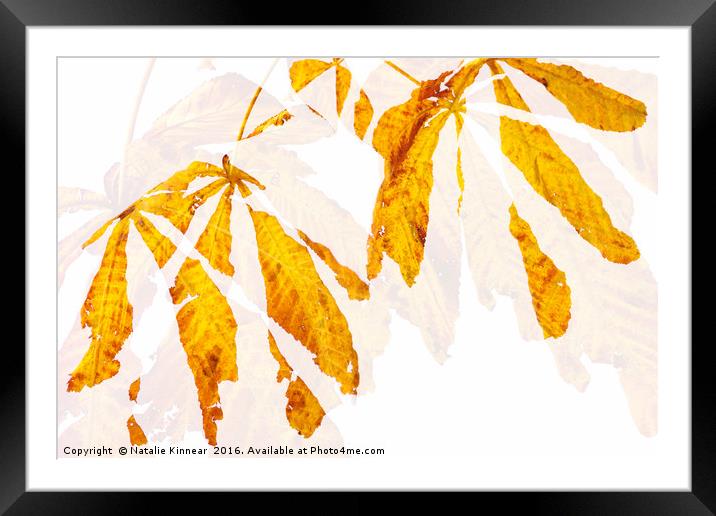 Autumn Leaves Abstract 2 Framed Mounted Print by Natalie Kinnear