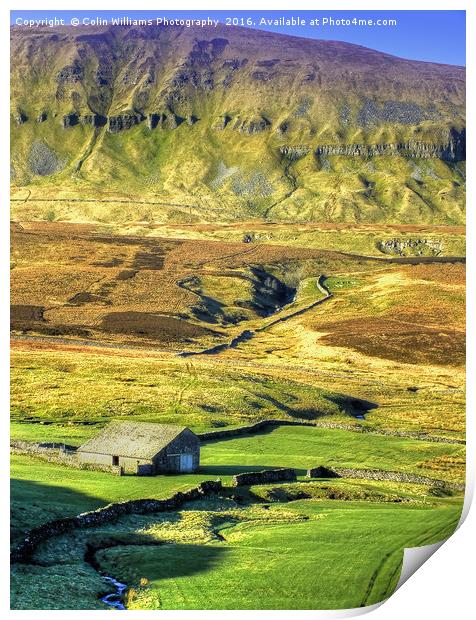 Pen-y-ghent North Yorkshire - 1 Print by Colin Williams Photography