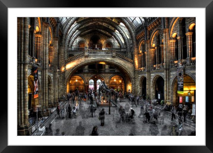 Natural history museum in strong HDR Framed Mounted Print by HQ Photo