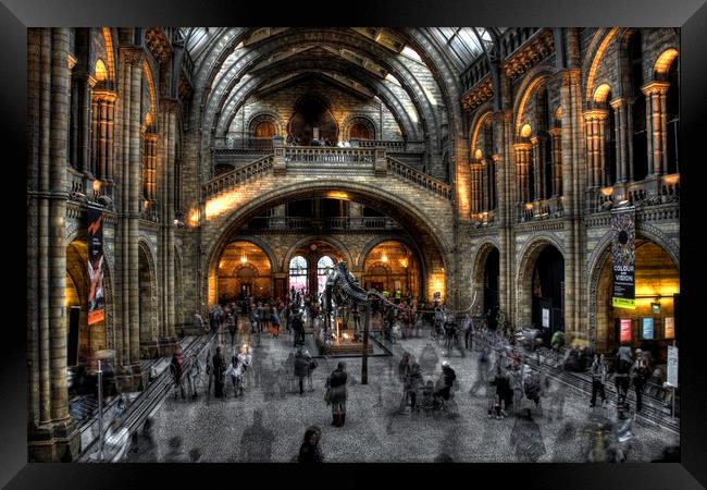 Natural history museum in strong HDR Framed Print by HQ Photo