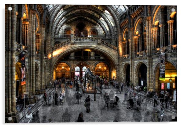 Natural history museum in strong HDR Acrylic by HQ Photo