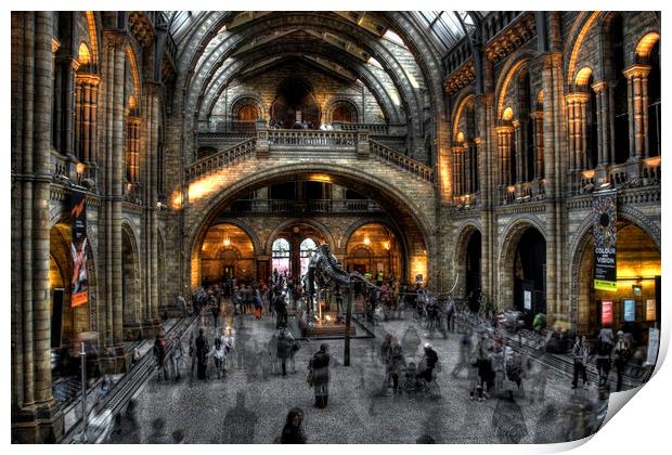 Natural history museum in strong HDR Print by HQ Photo