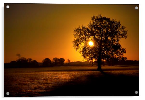 English Winters Sunrise Acrylic by Darren Burroughs