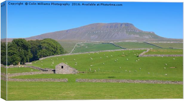 Pen-y-ghent North Yorkshire - 2 Canvas Print by Colin Williams Photography