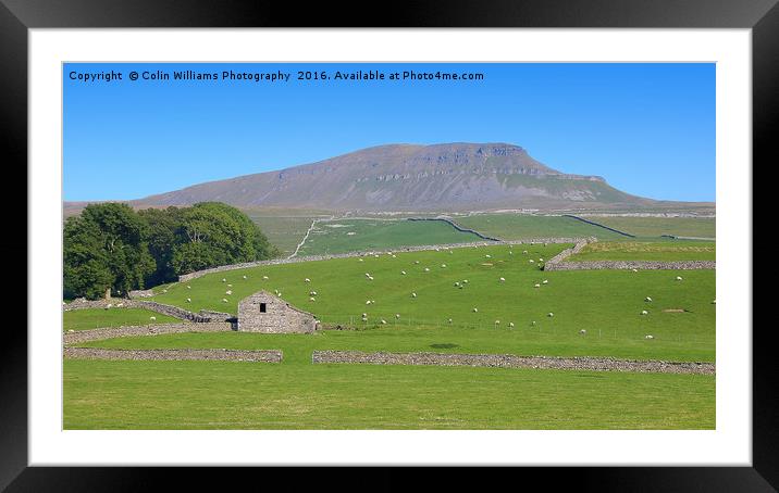Pen-y-ghent North Yorkshire - 2 Framed Mounted Print by Colin Williams Photography