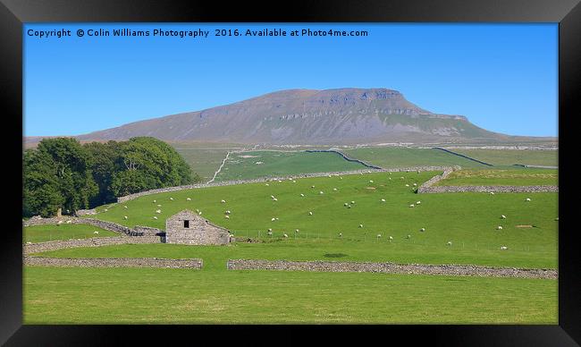 Pen-y-ghent North Yorkshire - 2 Framed Print by Colin Williams Photography