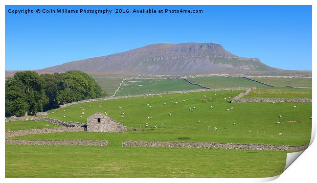 Pen-y-ghent North Yorkshire - 2 Print by Colin Williams Photography
