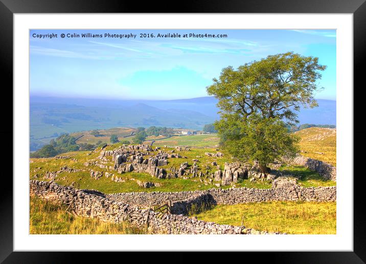 The Road to Malham Framed Mounted Print by Colin Williams Photography
