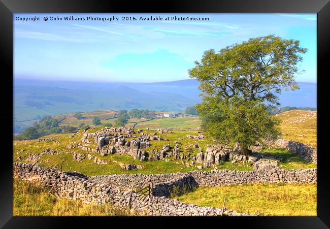The Road to Malham Framed Print by Colin Williams Photography