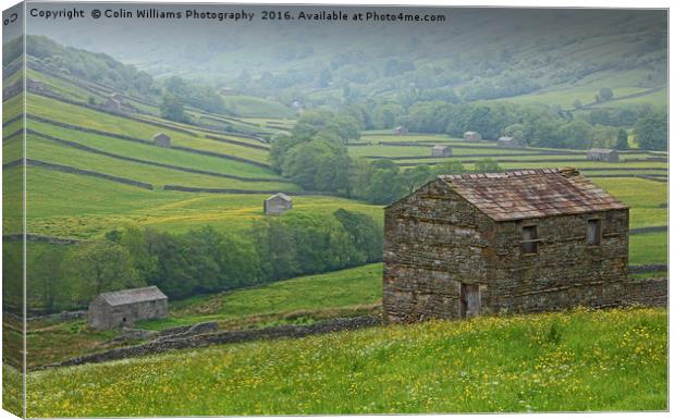 The Barns of Swaledale Yorkshire. Canvas Print by Colin Williams Photography