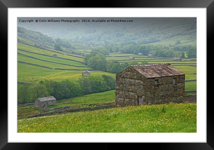 The Barns of Swaledale Yorkshire. Framed Mounted Print by Colin Williams Photography