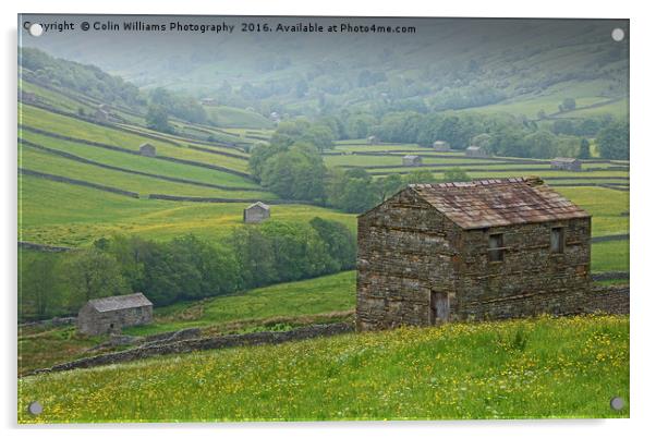 The Barns of Swaledale Yorkshire. Acrylic by Colin Williams Photography