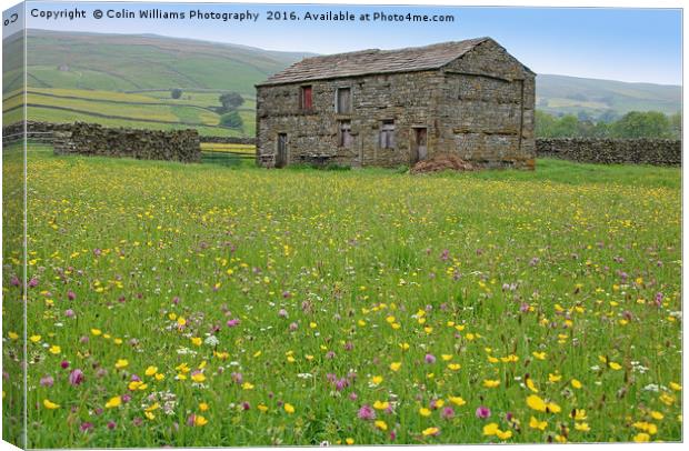 The Summer Meadows of Swaledale Canvas Print by Colin Williams Photography