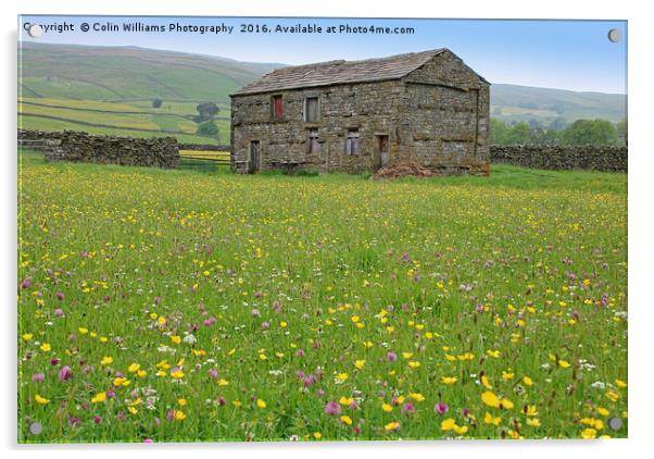 The Summer Meadows of Swaledale Acrylic by Colin Williams Photography
