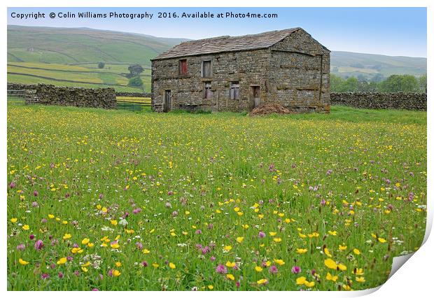 The Summer Meadows of Swaledale Print by Colin Williams Photography
