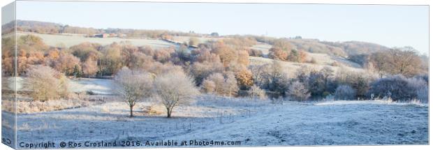 Winter Beauty in the Yorkshire Countryside Canvas Print by Ros Crosland